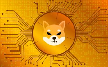 shiba inu crypto