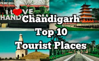 Top 10 Places to Visit in Chandigarh