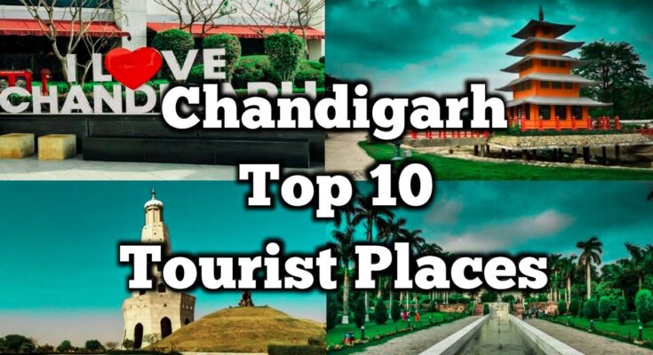 Top 10 Places to Visit in Chandigarh